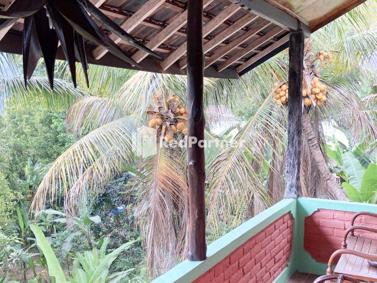Taman Ayu Homestay Munduk Mitra Reddoorz Экстерьер фото